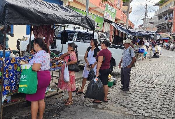 Se mantienen los precios de los lácteos…