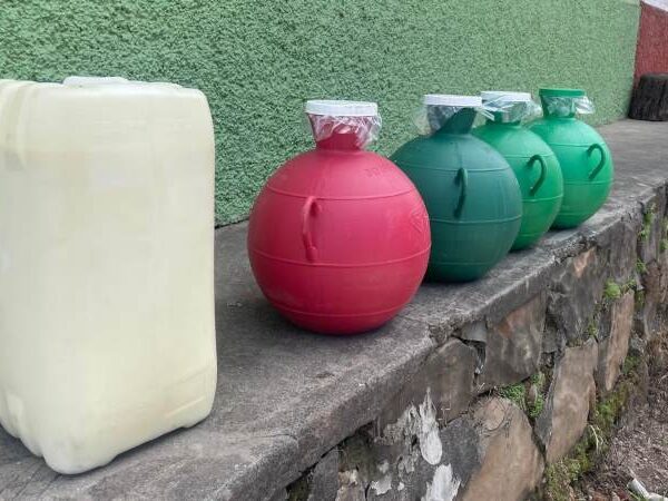 60% de la leche del distrito de…