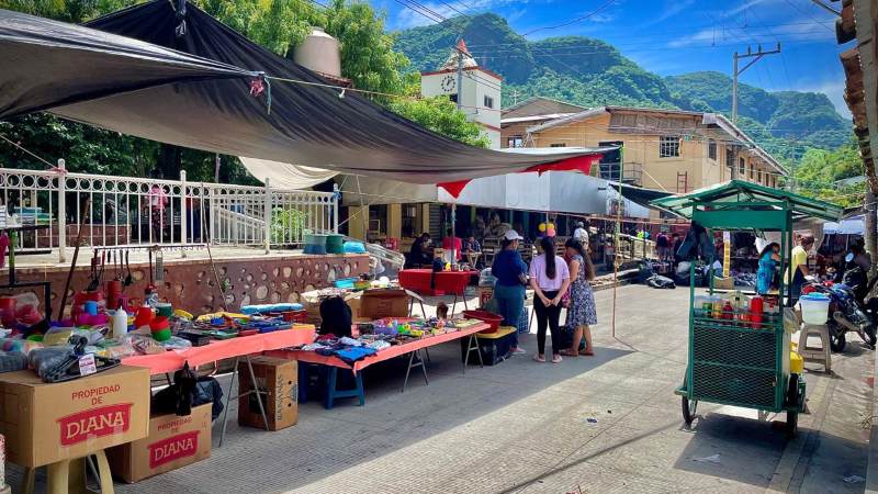Reducción del 40 % en las ventas en…