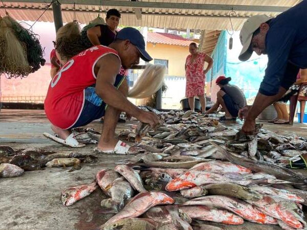 La pesca artesanal es la principal fuente de…