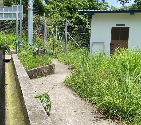 Casa de la salud de El Ocote&hellip;