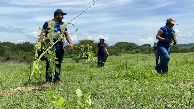 FAO reforestó más de 100 hectáreas en El&hellip;