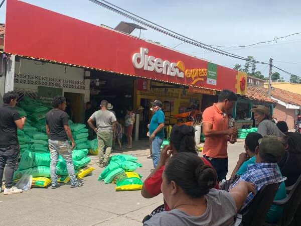 Agricultores de Lislique, adquieren insumos agrícolas con la…