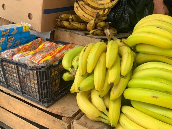 Vendedores de Lislique registran reducci贸n en las ventas.