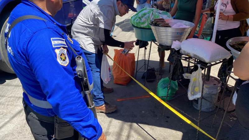 Asignan los espacios para la instalación del campo&hellip;