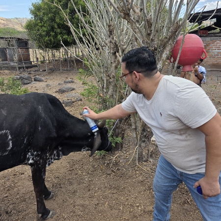Según las autoridades municipales, un total de 500 ganaderos serán beneficiados con la jornada de vacunación. Foto/cortesía